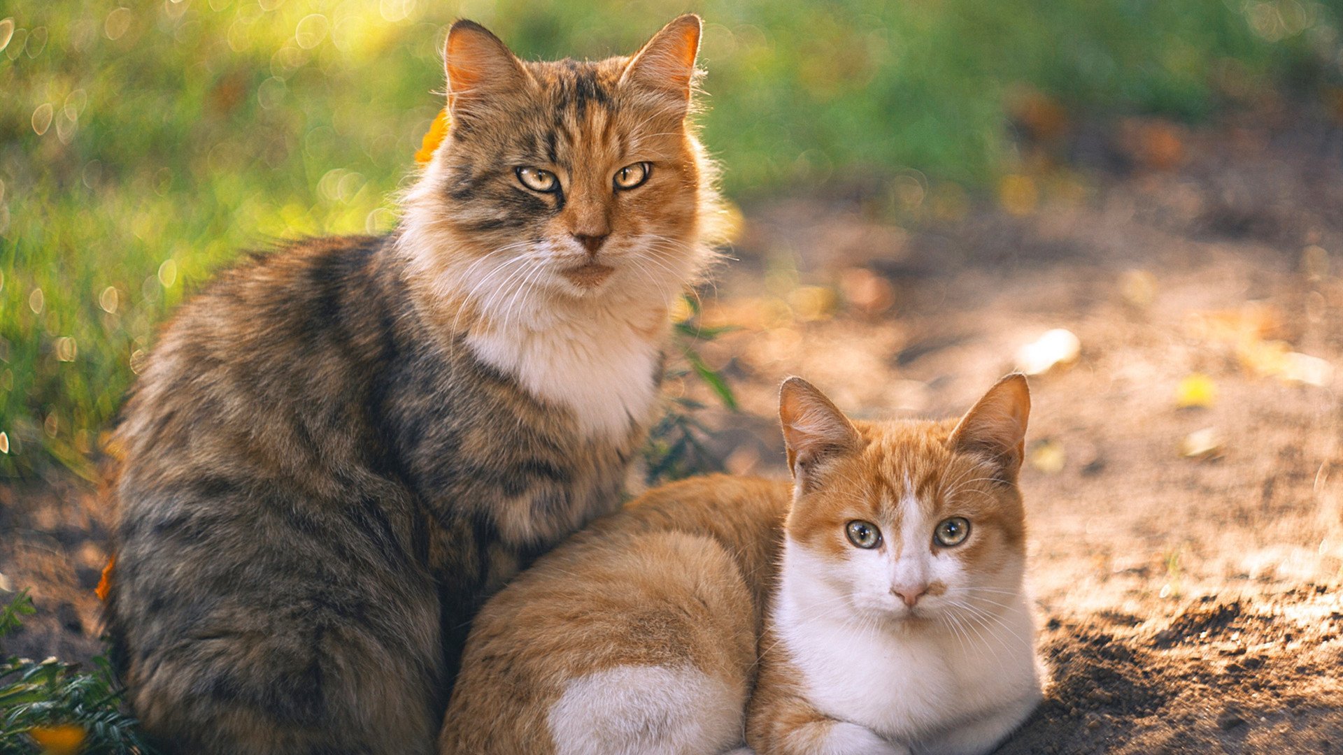 _勇士开启火热三分雨,场场爆炸_,勇士三分最多的比赛