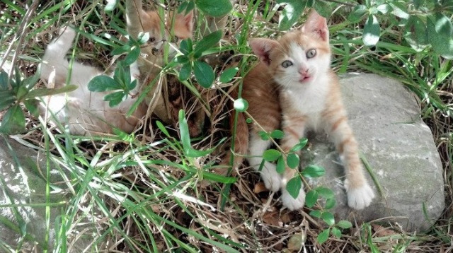 _未来运动穿戴:科技点亮运动新生活_,未来运动鞋图片