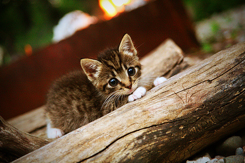 _网球运动员的日常:训练、复盘与心态调节_,网球训练表