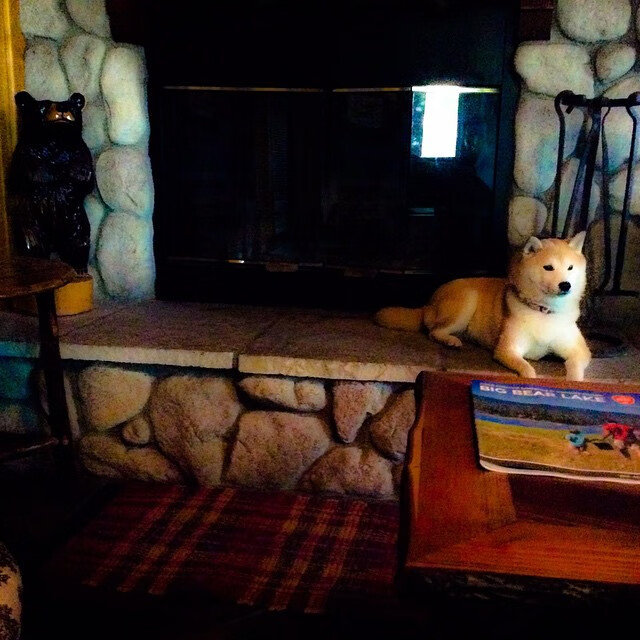 乐鱼（中国）体育官方网站-_赏樱盛会：樱花大道上的浪漫网球赛_，g1樱花赏