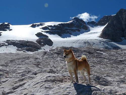 leyu.com-《电竞产业链深入：从硬件到媒体全覆盖》，电竞的产业链