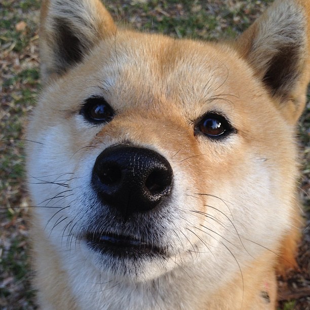 乐鱼官网-互联网+足球：创新模式激发全民运动热情，足球的创新