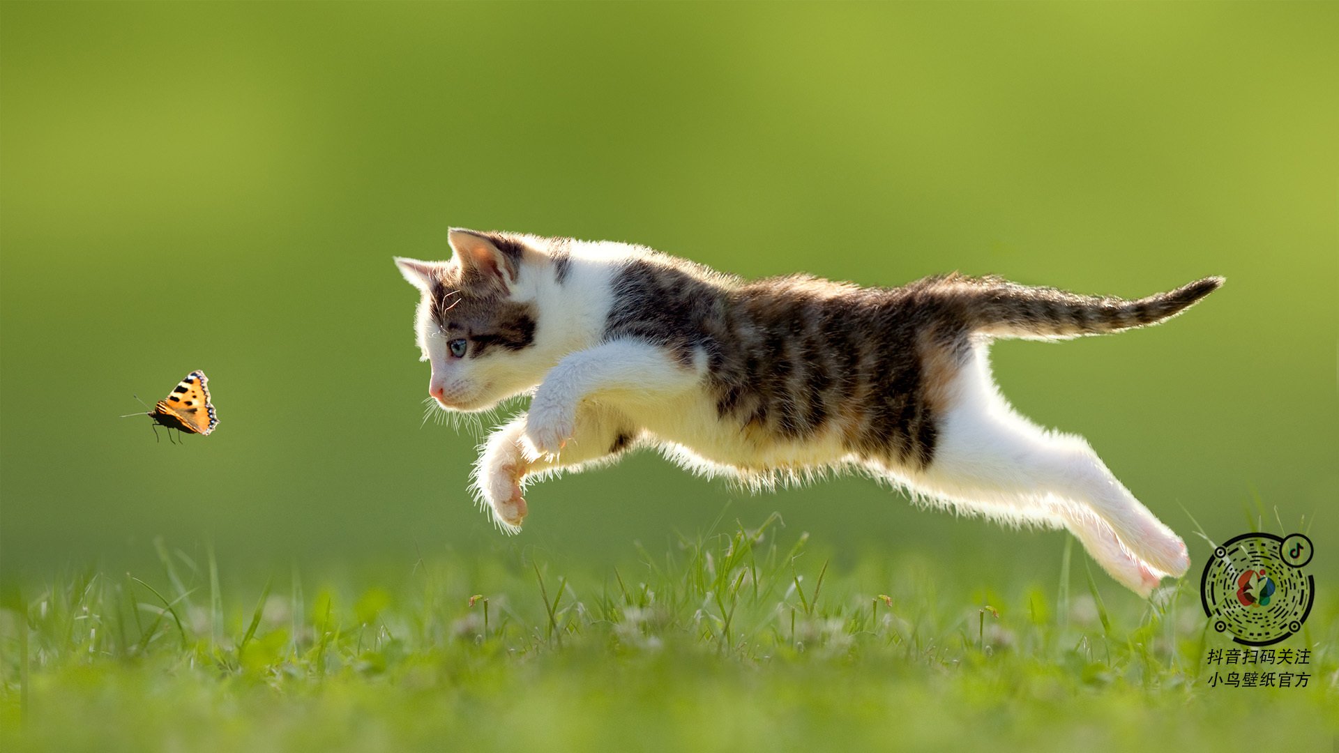 LEYU SPORTS中国官方网站-乌拉圭队前锋洛佩斯在巴黎奥运会上表现出色，拉齐奥洛佩斯