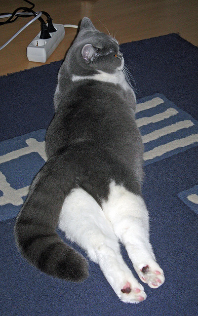 乐鱼电竞-全国篮球争霸赛，群雄逐鹿争夺冠军，cgl全国联赛篮球争霸赛