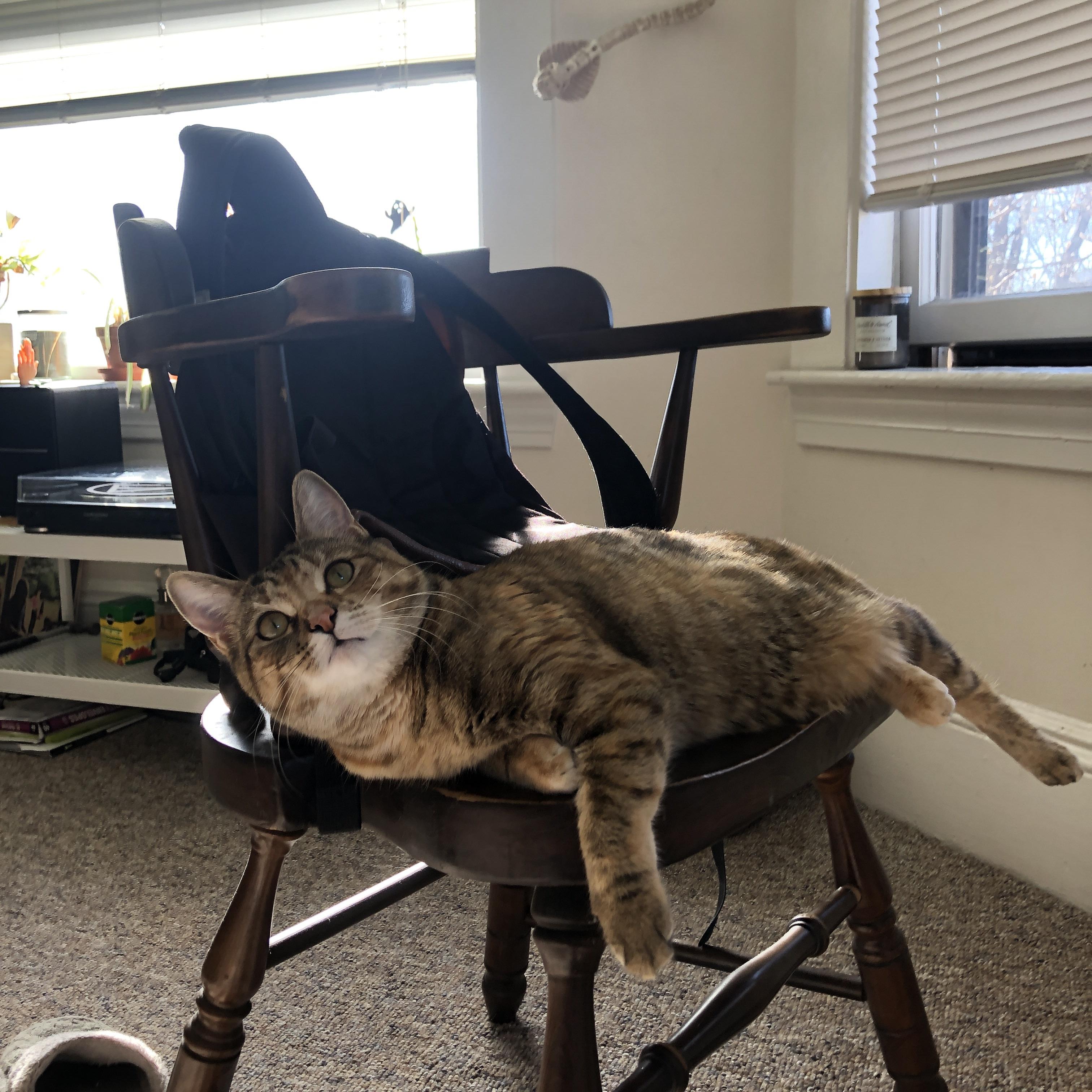 乐鱼电竞在线平台登录入口-浮潜海底漂流：海底世界的奇妙冒险，浮潜介绍