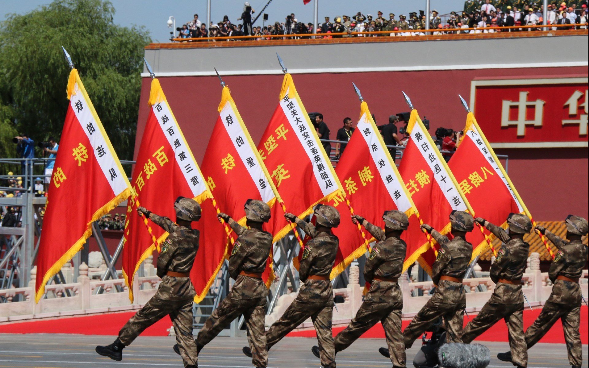 游泳世锦赛，泳坛健儿再续佳绩，游泳世锦赛个人金牌排名