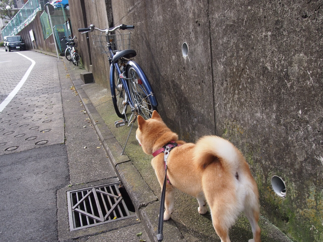 足球与电影:那些足球题材的经典影片,足球题材电影推荐