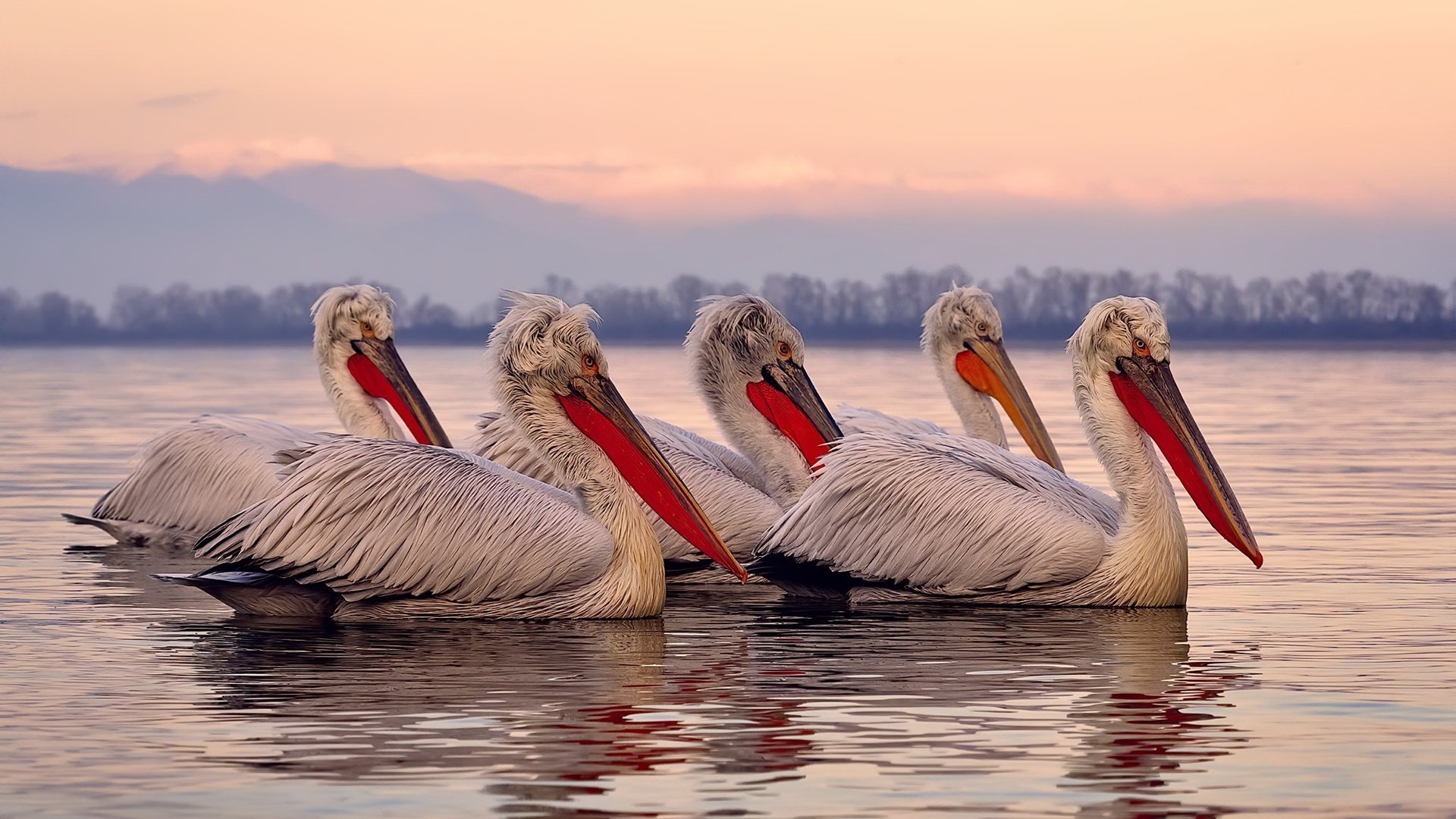 逆流而上的勇气:新秀车手的坚持与突破,逆流而上的你车是什么牌子