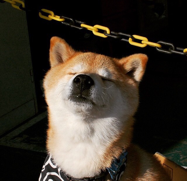 乐鱼官方登录入口-G联赛奥斯汀马刺主帅获最佳教练，马刺教练团队