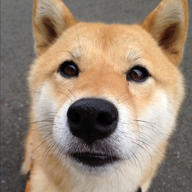 乐鱼电竞· (中国)官方网站-利物浦再胜曼城，红军登顶英超积分榜，英超利物浦对曼联比分