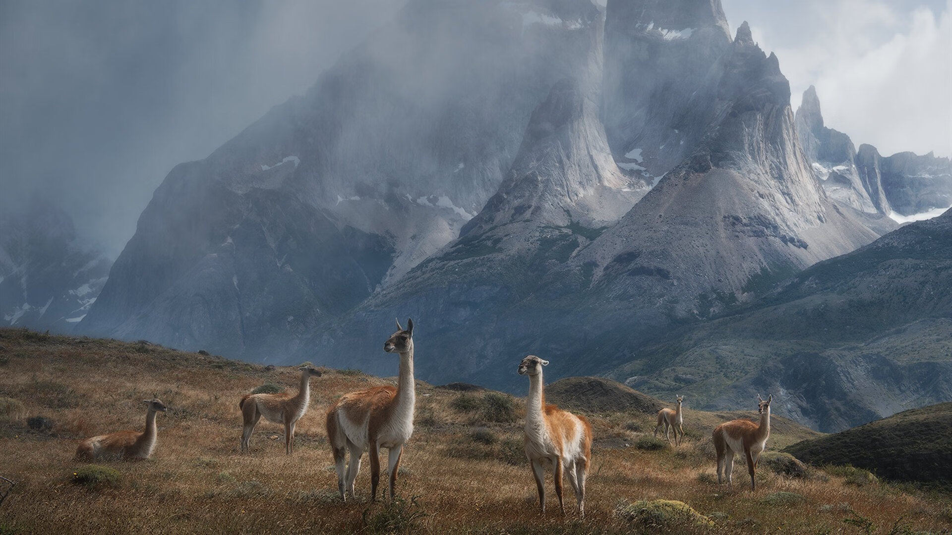 弗朗茨·巴图姆(Nicolas Batum)宣布参加巴黎奥运会,法国奥运会姆巴佩