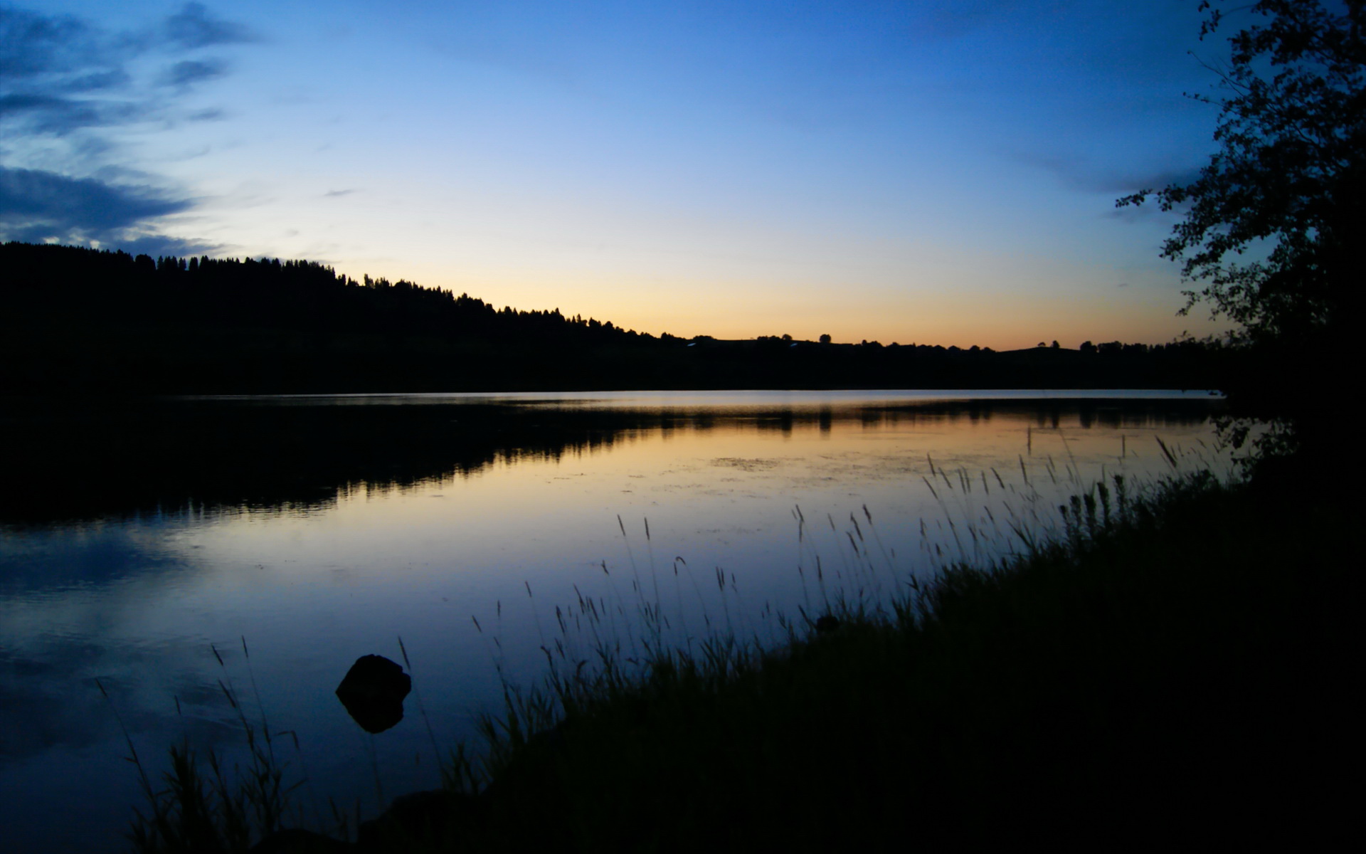 最新：利物浦神奇逆转晋级半决赛！，利物浦半程冠军被逆转