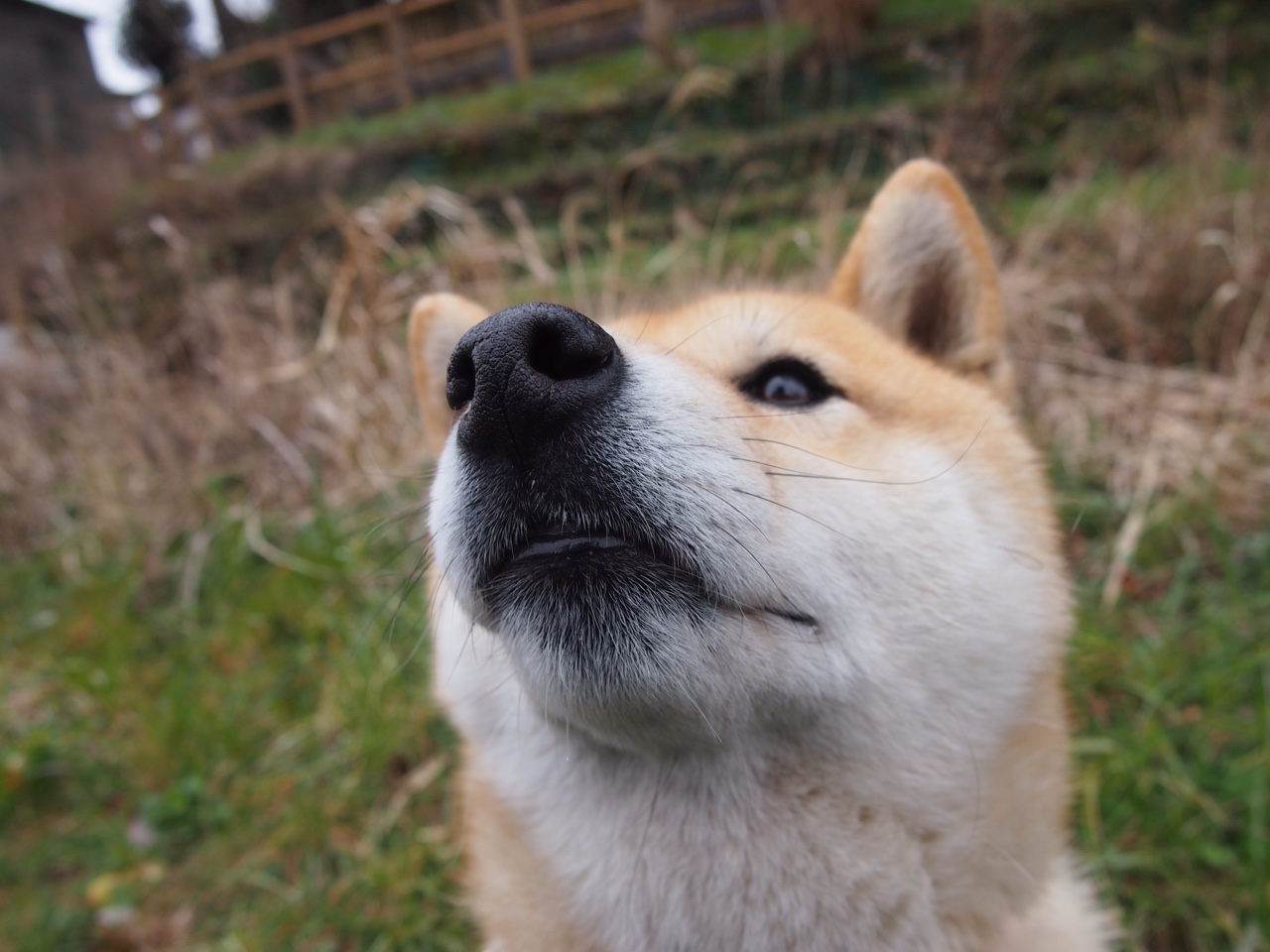 瑞士篮球界现代化,引入新科技提升比赛体验,瑞士篮球世界排名