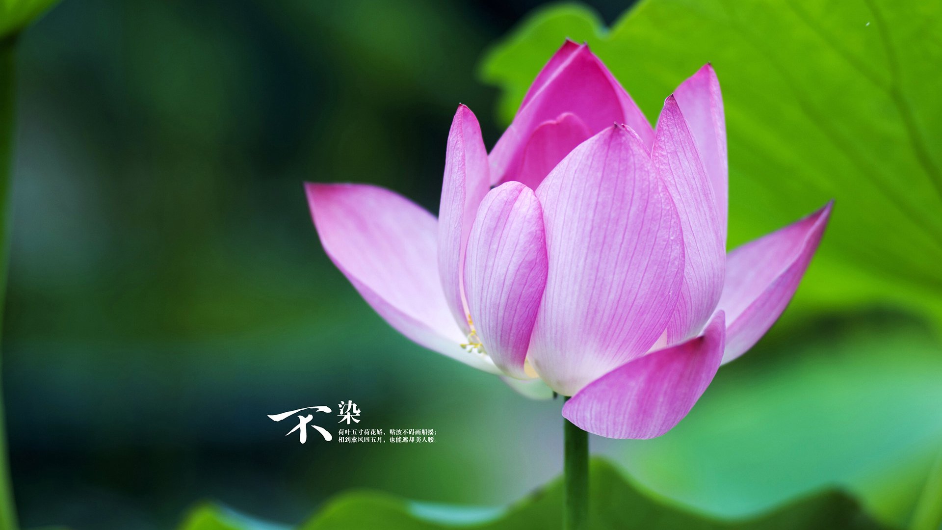 乐鱼电竞-电竞直播平台多元化内容运营策略与商业变现模式探讨，电竞直播平台发展现状