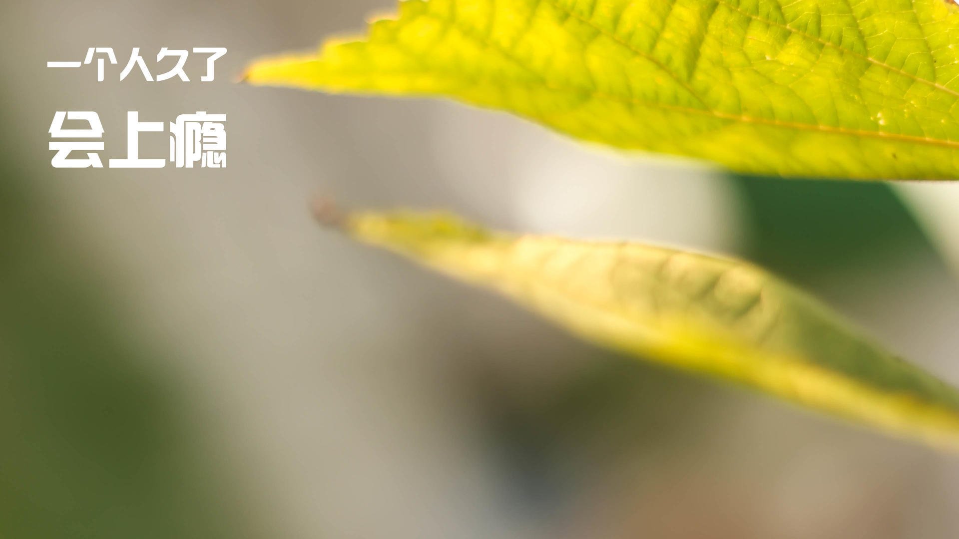 国足后卫表现数据分析,国足中后卫是谁