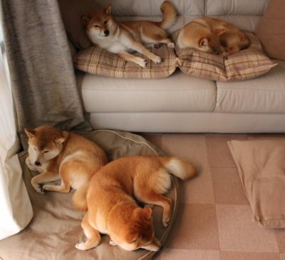 篮球运动员专项技能动作动作捕捉技术的系统开发,篮球动作技术要领