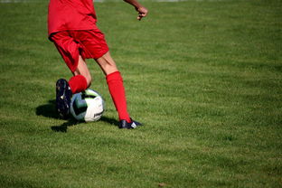 乐鱼官方登录入口-英超青训体系中情绪调节训练对青少年比赛焦虑的控制作用，英超青训球员定义