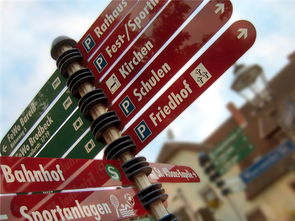 APP下载 LY Sports-高校运动损伤防控技术研究与推广，运动损伤防护培训班