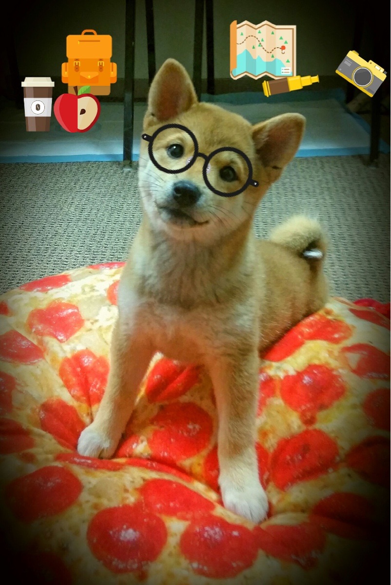 100自冠军转身时间领先0.1秒