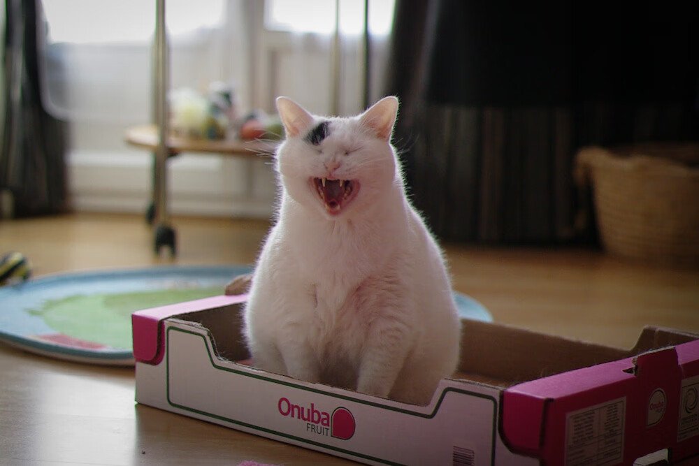 下载乐鱼体育APP-季后赛防守节奏对比常规赛分析，季后赛比常规赛强的球员