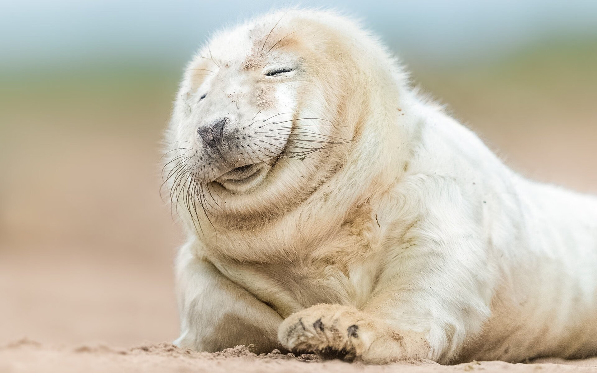 乐鱼官网-中国足球联赛俱乐部品牌影响力显著提升，中国各地足球俱乐部