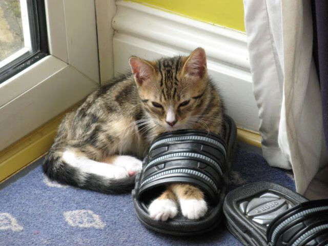 乐鱼官方登录入口-西甲神技：惊艳过人瞬间爆发，西甲的出场